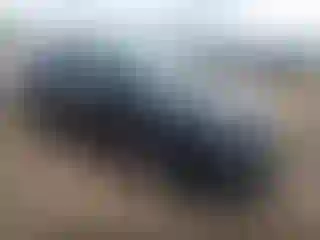 Vehicle Image- 2020 Honda Pilot