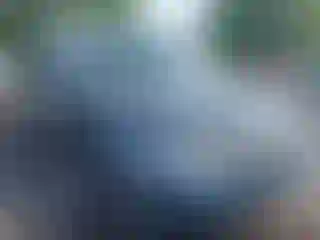 Vehicle Image- 2021 Honda Pilot