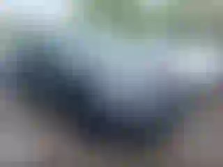 Vehicle Image- 2021 Honda Pilot