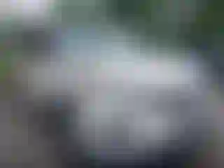 Vehicle Image- 2016 Honda Pilot