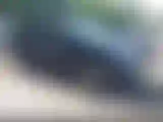 Vehicle Image- 2018 Honda Pilot