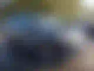 Vehicle Image- 2019 Honda Pilot