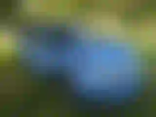 Vehicle Image- 2021 Honda Pilot