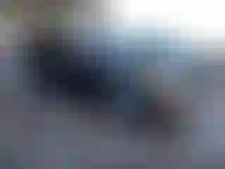 Vehicle Image- 2016 Honda Pilot