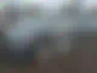 Vehicle Image- 2016 Honda Pilot