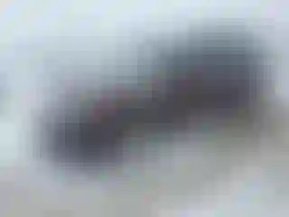 Vehicle Image- 2016 Honda Pilot