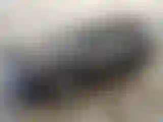 Vehicle Image- 2016 Honda Pilot