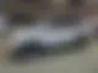 Vehicle Image- 2017 Honda Pilot