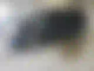 Vehicle Image- 2016 Honda Pilot