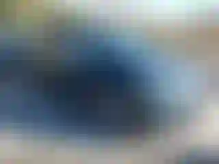 Vehicle Image- 2016 Honda Pilot