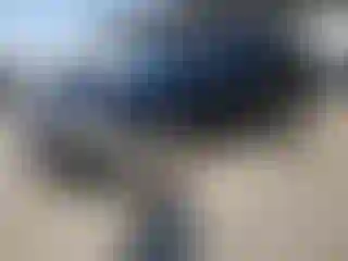 Vehicle Image- 2016 Honda Pilot