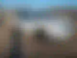 Vehicle Image- 2021 Honda Pilot