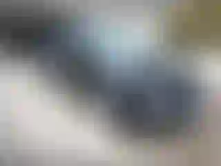 Vehicle Image- 2025 Honda Pilot