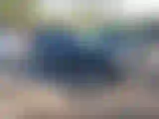 Vehicle Image- 2025 Honda Pilot