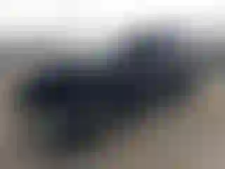 Vehicle Image- 2025 Honda Pilot