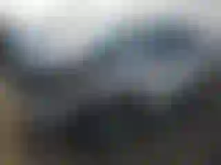 Vehicle Image- 2023 Honda Pilot