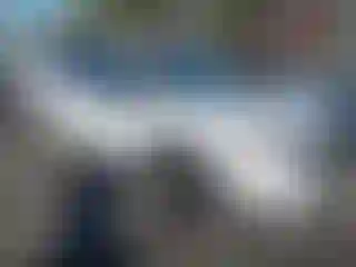 Vehicle Image- 2025 Honda Pilot