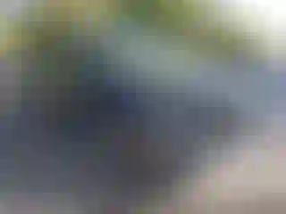 Vehicle Image- 2025 Honda Pilot