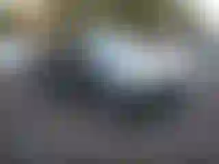 Vehicle Image- 2025 Honda Pilot