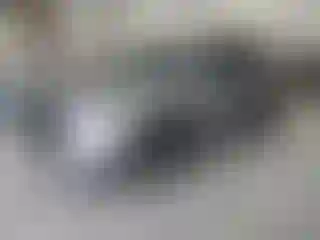 Vehicle Image- 2025 Honda Pilot