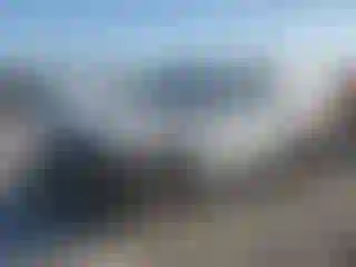 Vehicle Image- 2025 Honda Pilot