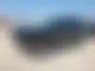 Vehicle Image- 2024 Honda Pilot