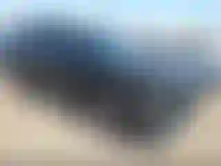 Vehicle Image- 2025 Honda Pilot