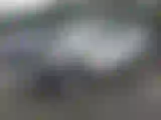 Vehicle Image- 2025 Honda Pilot