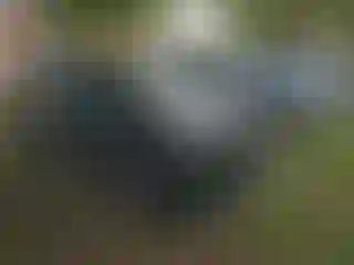 Vehicle Image- 2023 Honda Pilot