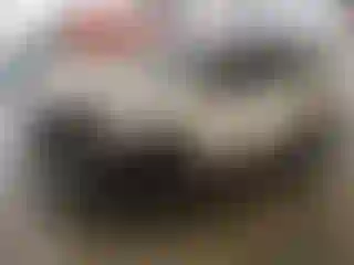 Vehicle Image- 2025 Honda Pilot