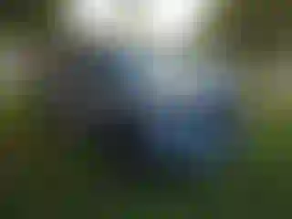 Vehicle Image- 2025 Honda Pilot