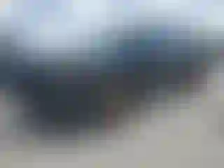 Vehicle Image- 2024 Honda Pilot