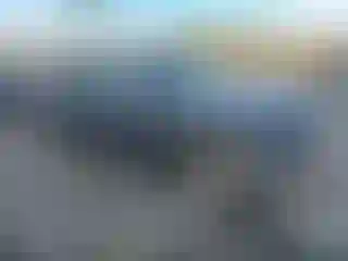 Vehicle Image- 2025 Honda Pilot