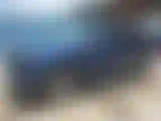 Vehicle Image- 2024 Honda Pilot