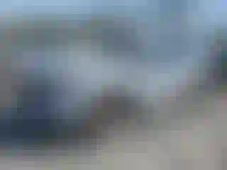 Vehicle Image- 2024 Honda Pilot