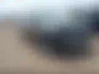 Vehicle Image- 2022 Honda Ridgeline