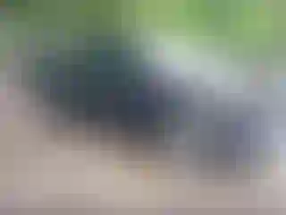 Vehicle Image- 2021 Honda Ridgeline