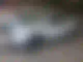 Vehicle Image- 2022 Honda Ridgeline