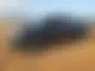 Vehicle Image- 2023 Honda Ridgeline
