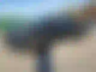 Vehicle Image- 2020 Honda Ridgeline