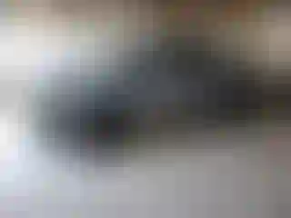 Vehicle Image- 2024 Honda Ridgeline