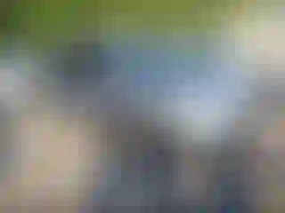 Vehicle Image- 2016 Acura MDX