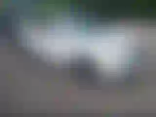 Vehicle Image- 2016 Acura MDX