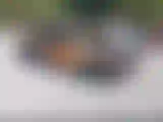 Vehicle Image- 2016 Acura MDX