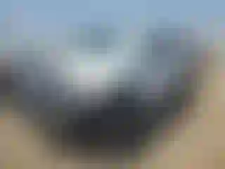 Vehicle Image- 2004 Hummer H2