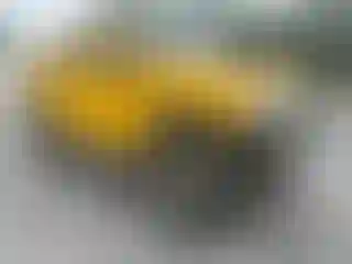 Vehicle Image- 2003 Hummer H2