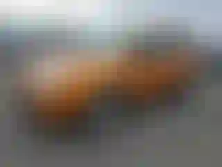 IMPORTOWO.pl