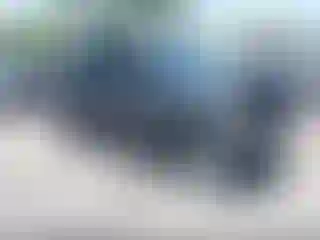 Vehicle Image- 2011 Honda CR-V