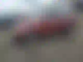 Vehicle Image- 2009 Honda CR-V
