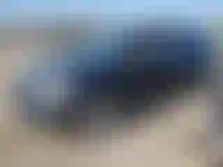 Vehicle Image- 2009 Honda CR-V